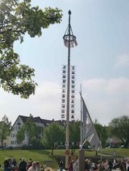 Maibaum 2009_1